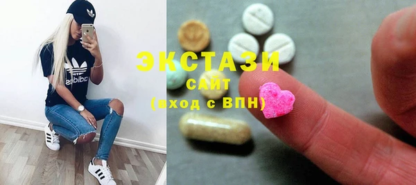 ECSTASY Богданович