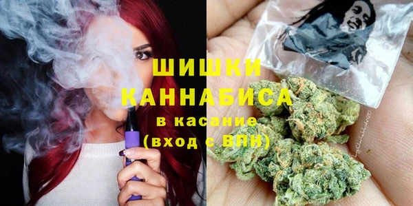 дмт Осинники