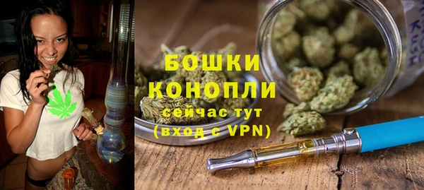 дмт Осинники